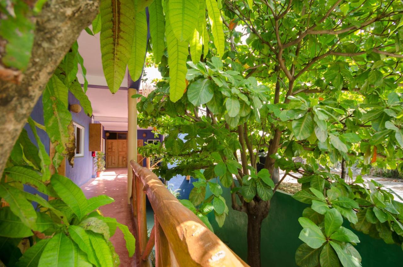 Готель Casa Almendro Тулум Екстер'єр фото